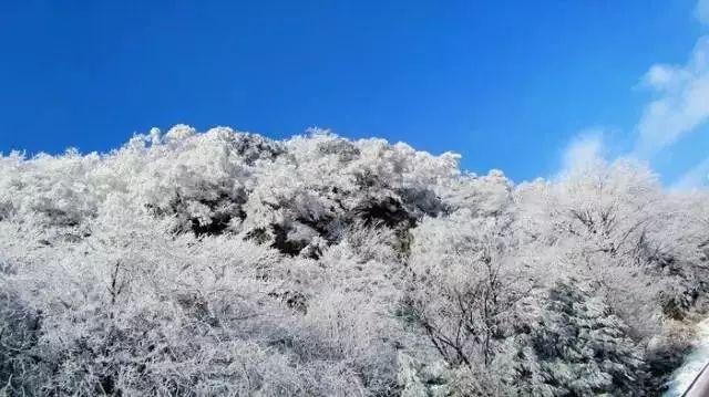 拯救红色方块