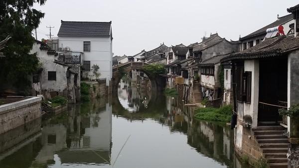 逗小猴开心系列189